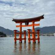 ヒメ日記 2025/11/15 20:31 投稿 ここ サンキュー沼津店（サンキューグループ）