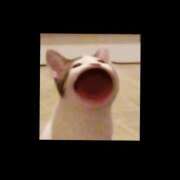 ヒメ日記 2025/04/03 21:36 投稿 あやみ 京都の痴女鉄道