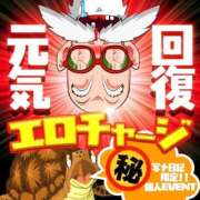 ヒメ日記 2025/07/27 13:49 投稿 ふう Ace(エース)