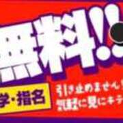 ヒメ日記 2025/07/30 12:15 投稿 ふう Ace(エース)