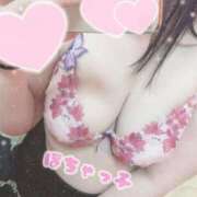 ヒメ日記 2025/09/12 12:57 投稿 ふう Ace(エース)