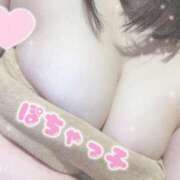 ヒメ日記 2026/02/19 10:02 投稿 ふう Ace(エース)