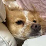 ヒメ日記 2025/04/22 13:29 投稿 める Ace(エース)