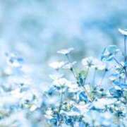 ヒメ日記 2025/05/07 17:03 投稿 める Ace(エース)