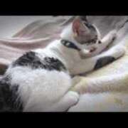 ヒメ日記 2025/05/22 13:22 投稿 める Ace(エース)