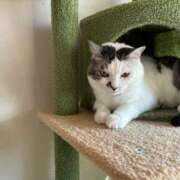 ヒメ日記 2025/10/31 11:01 投稿 める Ace(エース)