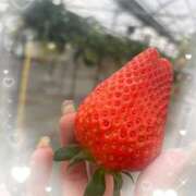 ヒメ日記 2026/02/04 13:01 投稿 める Ace(エース)