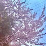 ヒメ日記 2026/04/09 08:48 投稿 らら 厚木人妻城