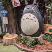 ヒメ日記 2025/04/11 20:52 投稿 剣崎（けんざき） 熟女の風俗最終章 名古屋店