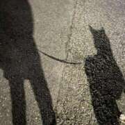 ヒメ日記 2025/05/02 22:53 投稿 剣崎（けんざき） 熟女の風俗最終章 名古屋店