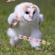 ヒメ日記 2025/05/07 10:06 投稿 剣崎（けんざき） 熟女の風俗最終章 名古屋店