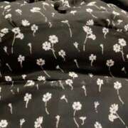 ヒメ日記 2025/05/31 09:43 投稿 剣崎（けんざき） 熟女の風俗最終章 名古屋店