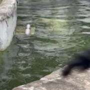 ヒメ日記 2025/07/15 11:18 投稿 剣崎（けんざき） 熟女の風俗最終章 名古屋店