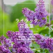 ヒメ日記 2025/07/23 16:42 投稿 剣崎（けんざき） 熟女の風俗最終章 名古屋店