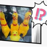 ヒメ日記 2025/10/14 17:22 投稿 剣崎（けんざき） 熟女の風俗最終章 名古屋店