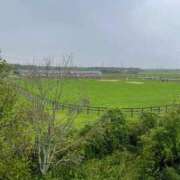 ヒメ日記 2025/10/18 09:50 投稿 剣崎（けんざき） 熟女の風俗最終章 名古屋店