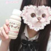 なち にゃんばーわん🐱🐶 ビデオdeはんど 横浜校