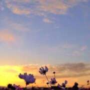 ヒメ日記 2025/09/06 11:30 投稿 さな リニューアル