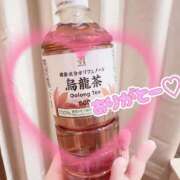 ヒメ日記 2025/03/17 17:08 投稿 ねね ぽちゃ・巨乳専門店　太田足利ちゃんこ