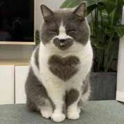 ヒメ日記 2026/02/03 11:05 投稿 ふみ 奥様さくら梅田店