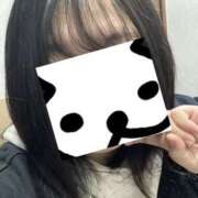 ヒメ日記 2026/02/03 12:05 投稿 ふみ 奥様さくら梅田店