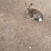 ヒメ日記 2026/02/27 20:25 投稿 ふみ 奥様さくら梅田店