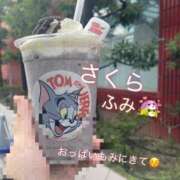 ヒメ日記 2026/04/02 13:55 投稿 ふみ 奥様さくら梅田店