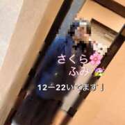 ヒメ日記 2026/04/05 12:05 投稿 ふみ 奥様さくら梅田店