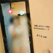 ヒメ日記 2026/04/07 00:15 投稿 ふみ 奥様さくら梅田店