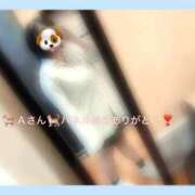 ヒメ日記 2026/07/24 15:55 投稿 ふみ 奥様さくら梅田店