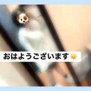 ヒメ日記 2026/08/23 10:57 投稿 ふみ 奥様さくら梅田店