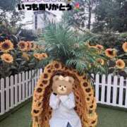 ヒメ日記 2026/09/24 22:27 投稿 ふみ 奥様さくら梅田店