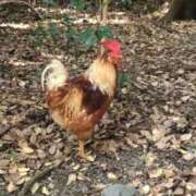 ヒメ日記 2025/07/11 10:27 投稿 安達　はるな 熟女パラダイス甲府店（カサブランカグループ）