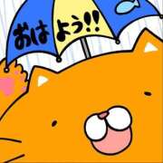 ヒメ日記 2025/09/12 10:17 投稿 安達　はるな 熟女パラダイス甲府店（カサブランカグループ）