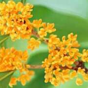 ヒメ日記 2025/10/08 18:33 投稿 安達　はるな 熟女パラダイス甲府店（カサブランカグループ）