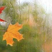 ヒメ日記 2025/03/12 21:16 投稿 まゆみ 熟女の風俗最終章 蒲田店