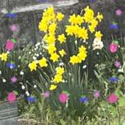 ヒメ日記 2025/05/05 03:36 投稿 牧野亜美 五十路マダム 岐阜店