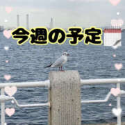 ヒメ日記 2025/06/07 18:40 投稿 ちづる 脱がされたい人妻 宇都宮店