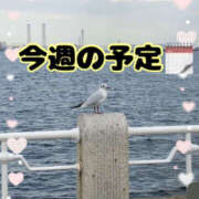 ヒメ日記 2025/06/27 21:10 投稿 ちづる 脱がされたい人妻 宇都宮店