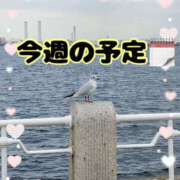 ヒメ日記 2025/07/07 17:00 投稿 ちづる 脱がされたい人妻 宇都宮店