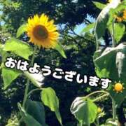 ヒメ日記 2025/07/30 07:10 投稿 ちづる 脱がされたい人妻 宇都宮店