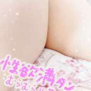 ヒメ日記 2025/09/11 15:01 投稿 ちづる 脱がされたい人妻 宇都宮店