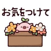 ヒメ日記 2026/06/26 23:03 投稿 中條貴恵 五十路マダム 沼津店(カサブランカグループ)