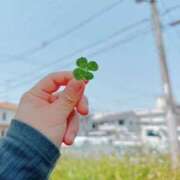 ヒメ日記 2025/07/20 16:31 投稿 れな 奥様さくら難波店