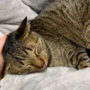 ヒメ日記 2025/03/19 15:25 投稿 ちえり ギン妻パラダイス 和歌山店