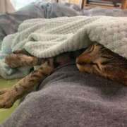 ヒメ日記 2025/04/07 18:06 投稿 ちえり ギン妻パラダイス 和歌山店