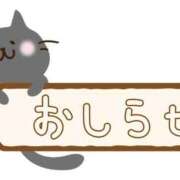 ヒメ日記 2026/08/14 14:59 投稿 ちえり ギン妻パラダイス 和歌山店