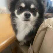 ヒメ日記 2025/11/12 12:50 投稿 ゆあ FAIRY Fukuoka Nakasu