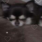 ヒメ日記 2025/11/17 09:20 投稿 ゆあ FAIRY Fukuoka Nakasu