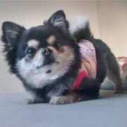 ヒメ日記 2026/03/01 18:40 投稿 ゆあ FAIRY Fukuoka Nakasu